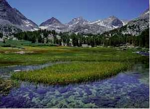 Landscape