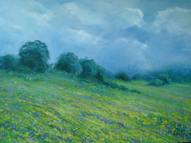 Landscape