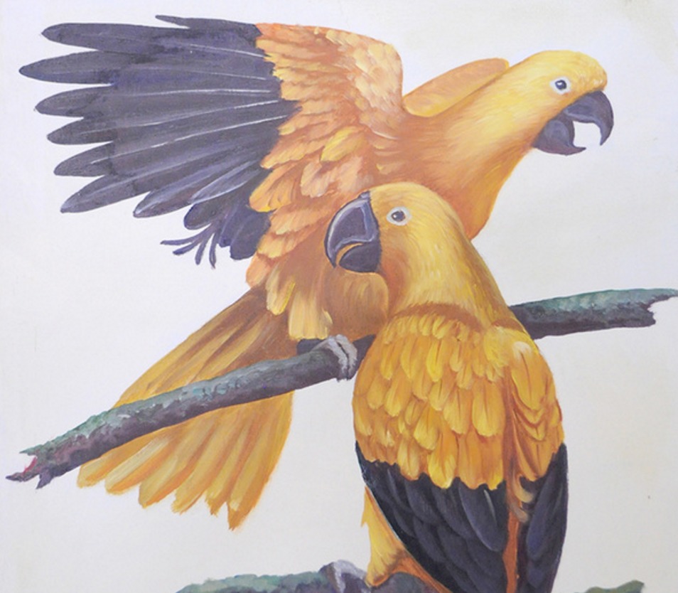 Tfss 0290368b b988 4e36 ba3e 3c94e621cf3c original image