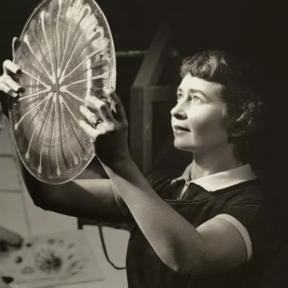 Higgins Glass Studio H
