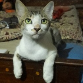 Fakhar